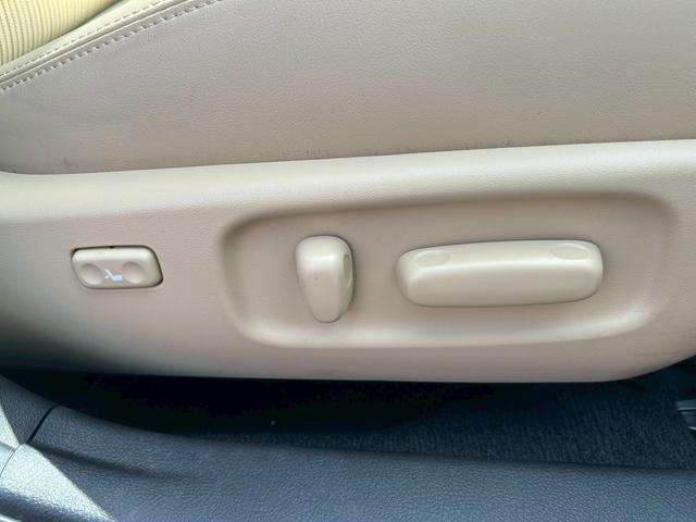 ���p���[�V�[�g��