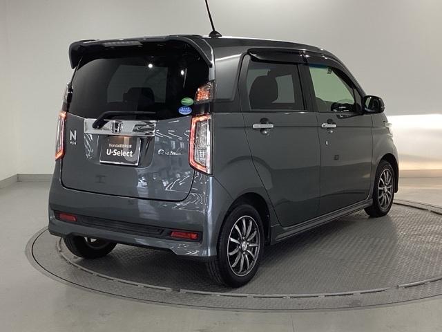 �����̂悤���Y��ɃN���[�j���O����Ă���A�ƂĂ��L���C�ȃ{�f�B�ł���B�O���͂������������Y��ł��B