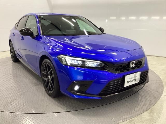 �X�|�[�e�B�[�ȃt�H�����̃n�b�`�o�b�N�ł�