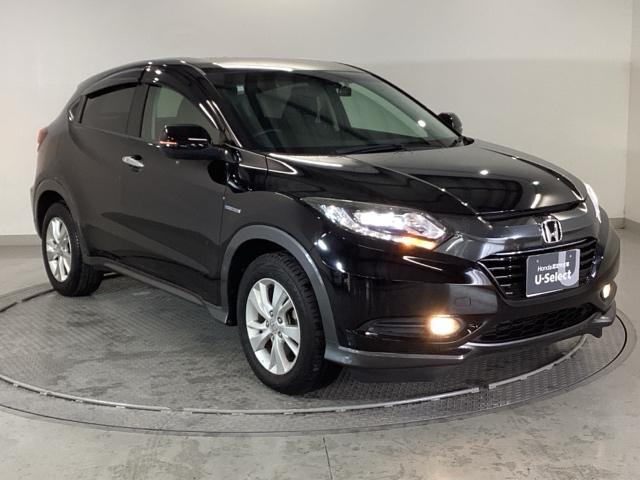 ���S�A���`�����l���������V���[�v�ȊO�ςł��B���i�̃A�V�ɂ������Ă����̈��ł��B�����̂悤�ɁA��Ԃ��ǂ��A�J���[�����O���I�X�X���ł���I�I