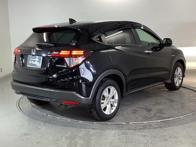 �����̂悤���Y��ɃN���[�j���O����Ă���A�ƂĂ��L���C�ȃ{�f�B�ł���B�O���͂������������Y��ł��B