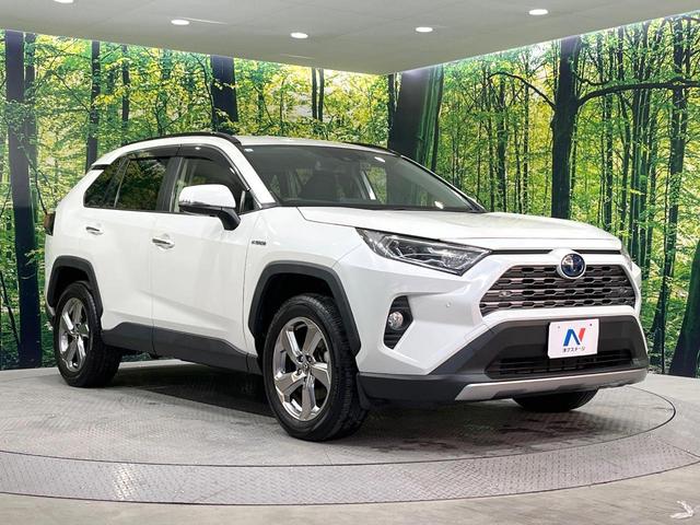 ＲＡＶ４ ハイブリッドＧ　純正ナビ　禁煙車　衝突被害軽減システム　レーダークルーズコントロール　クリアランスソナー　ドラレコ　ＥＴＣ　前席シートヒーター　電動リアゲート　バックカメラ　Ｂｌｕｅｔｏｏｔｈ　フロントフォグ（17枚目）