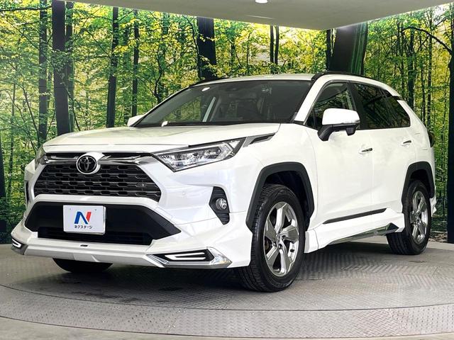 ＲＡＶ４ Ｇ　４ＷＤ　フルエアロ　禁煙車　純正９インチＳＤナビ　バックカメラ　衝突被害軽減システム　レーダークルーズ　電動リアゲート　パワーシート　ドラレコ　ＥＴＣ　コーナーセンサー　スマートキー（24枚目）