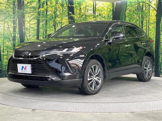 ハリアー Ｇ　純正８型ディスプレイオーディオ　バックカメラ　禁煙車　デジタルインナーミラー　衝突被害軽減システム　パワーバックドア　パワーシート　ハーフレザーシート　ドラレコ　ビルトインＥＴＣ　ＬＥＤヘッド（64枚目）