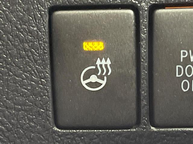 アルファード ２．５Ｓ　Ｃパッケージ　サンルーフ　純正９型ディスプレイオーディオ　両側電動ドア　１２型後席モニター　バックカメラ　レーダークルーズ　禁煙車　ハーフレザーシート　前席シートエアコン　ドラレコ　デジタルインナーミラー（29枚目）