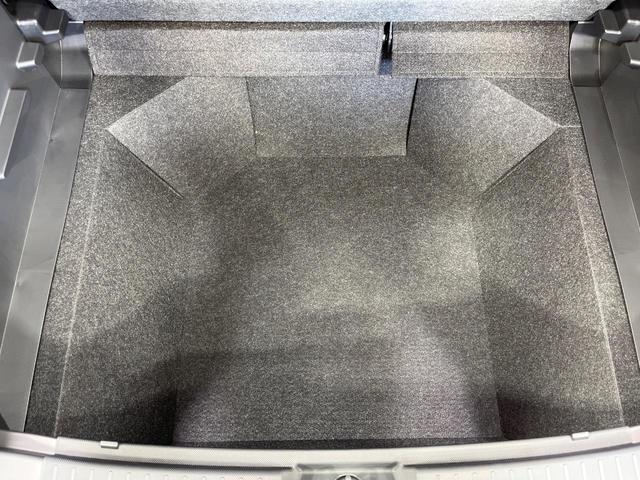 ライズ X 登録済未使用車 衝突軽減装置 LEDヘッドライト クリアランスソナー LEDヘッドライト スマートキー(28枚目)