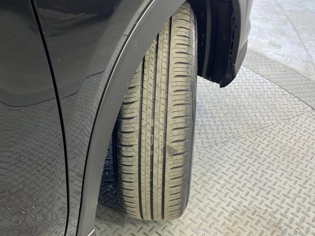 ライズ X 登録済未使用車 衝突軽減装置 LEDヘッドライト クリアランスソナー LEDヘッドライト スマートキー(49枚目)