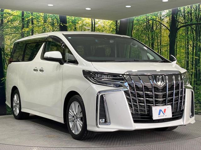 アルファード 2.5S Aパッケージ 両側電動ドア 純正10型ナビ 12型後席モニター バックカメラ デジタルミラー BSM レーダークルーズ 禁煙車 ドラレコ コーナーセンサー LEDヘッド ビルトインETC オートハイビーム(17枚目)