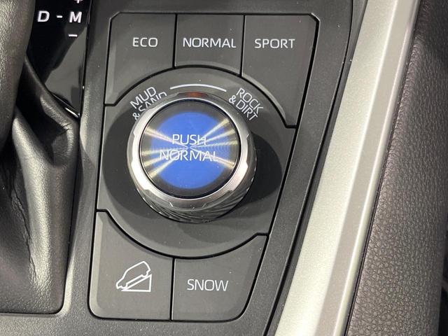 ＲＡＶ４ アドベンチャー　純正１０．３型ディスプレイオーディオ　衝突軽減装置　バックカメラ　レーダークルコン　ＢＳＭ　ＬＥＤヘッドライト　フルセグ　ドラレコ　ＥＴＣ　Ｂｌｕｅｔｏｏｔｈ　合皮シート　シートベンチレーション（40枚目）