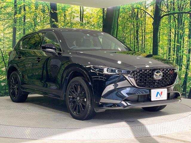 ＣＸ－５ ＸＤ　スポーツアピアランス　純正１０型ＳＤナビ　電動サンルーフ　全周囲カメラ　ＢＯＳＥサウンド　衝突被害軽減システム　レーダークルーズ　パワーシート　全席シートヒーター　電動リアゲート　レザーシート　ドラレコ　ＥＴＣ（16枚目）
