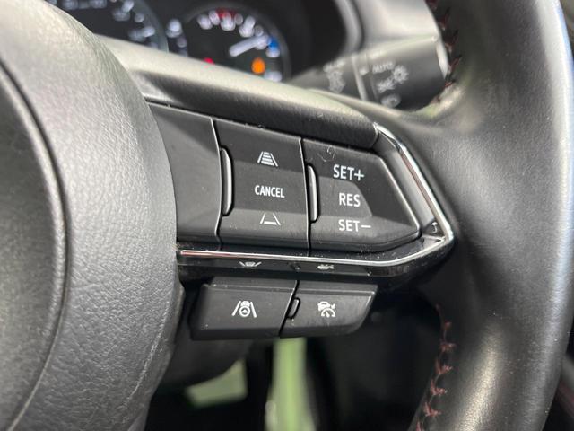 ＣＸ－５ ＸＤ　スポーツアピアランス　純正１０型ＳＤナビ　電動サンルーフ　全周囲カメラ　ＢＯＳＥサウンド　衝突被害軽減システム　レーダークルーズ　パワーシート　全席シートヒーター　電動リアゲート　レザーシート　ドラレコ　ＥＴＣ（53枚目）