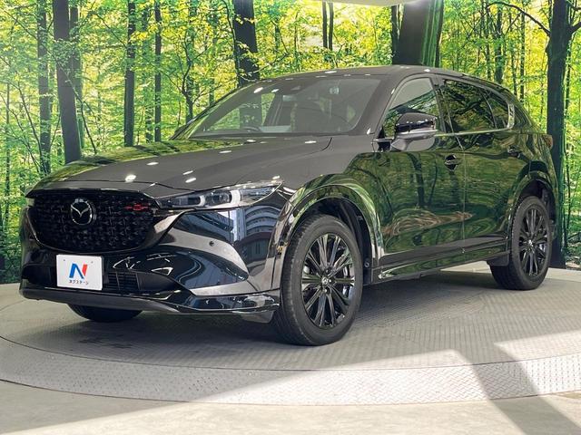 ＣＸ－５ ＸＤ　スポーツアピアランス　純正１０型ＳＤナビ　電動サンルーフ　全周囲カメラ　ＢＯＳＥサウンド　衝突被害軽減システム　レーダークルーズ　パワーシート　全席シートヒーター　電動リアゲート　レザーシート　ドラレコ　ＥＴＣ（66枚目）