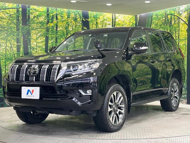 ランドクルーザープラド ＴＸ　Ｌパッケージ　４ＷＤ　純正９型ナビ　バックカメラ　１９インチＯＰＡＷ　レーダークルーズ　禁煙車　レザーシート　前席シートエアコン　ドラレコ　コーナーセンサー　スマートキー　ＬＥＤヘッド　ビルトインＥＴＣ（65枚目）