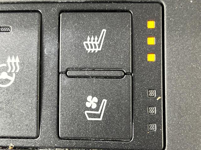 �y�V�[�g�x���`���[�V�����z�ď�͗��������ł��K��w���̔M�⃀����h���A�~�̓G�A�R�������������܂��ă|�J�|�J�ɁI�G�߂��킸���K�ɉ߂����܂��B