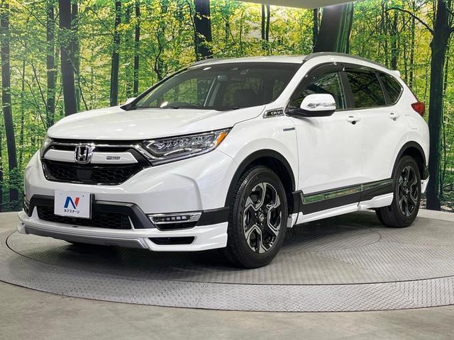 �y�����G�A���z�l�C�̏����G�A���𑕔��I�N���}�̊O�ς����X�^�C���b�V���ɂȂ�A�X���ő��݊����ӂ��P��Ɂ􏫗������ւ��鎞�ɂ����Z�[���ɉe�����₷���A���l����l�C�̑����ł��I