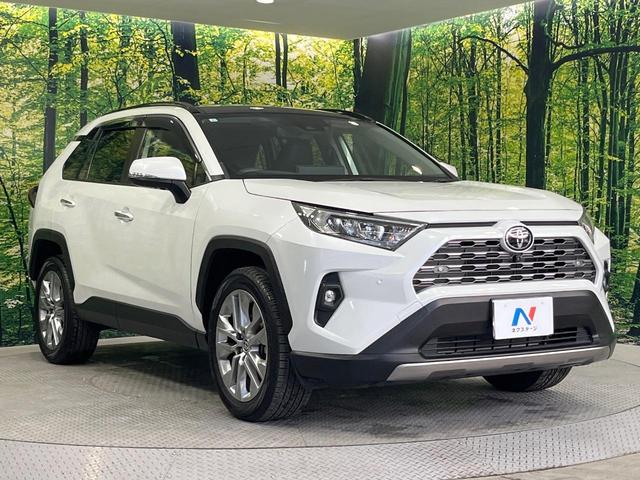 ＲＡＶ４ Ｇ　Ｚパッケージ　禁煙車　パノラマルーフ　純正１０型ＤＡ　全周囲カメラ　衝突被害軽減システム　レーダークルーズ　ＢＳＭ　合皮シート　電動リアゲート　前席シートエアコン　パワーシート　ドラレコ　コーナーセンサー（16枚目）