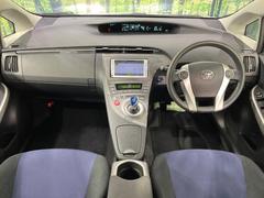 ���롼�����߸˿��󣳣����������桪������η���Ź����᡼�������ּ���鷺���Ҳ�����Τǡ����ʤ��˥ԥå���Τ��֤����Ĥ���Ϥ��Ǥ����ޤ��Ϥ��䤤��碌�������� 2