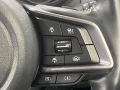 ������®�ɽ���ǽ�ե��롼������ȥ�����۹�®ƻϩ�Ǥ�Ĺ��Υ���Ԥ��ڤˡ�����ư��®�٤��ݤĥ��롼������ȥ����뤬�����ͷڸ������ƥ��Ϣ�Ȥ��������μ�ξ���Τ��Ƽִ֤��ݤĤ褦��®��Ĵ�ᤷ�Ƥ���ޤ����� 6