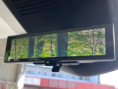 �ڥ���ƥꥸ����ȥ롼��ߥ顼�۸��ʤ��礭�ʲ�ʪ��Ʊ��ԤǸ�������ǧ���Ť餤���Ǥ�¿�������餬���Ƥ�����ξ�����α�����롼��ߥ顼���ɽ�������ꥢ�ʻ볦�Ǿ����γ�ǧ����ǽ�Ǥ��� 7