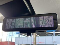 �ڥ���ƥꥸ����ȥ롼��ߥ顼�۸��ʤ��礭�ʲ�ʪ��Ʊ��ԤǸ�������ǧ���Ť餤���Ǥ�¿�������餬���Ƥ�����ξ�����α�����롼��ߥ顼���ɽ�������ꥢ�ʻ볦�Ǿ����γ�ǧ����ǽ�Ǥ��� 7