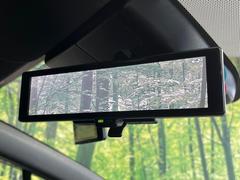 �ڥ���ƥꥸ����ȥ롼��ߥ顼�۸��ʤ��礭�ʲ�ʪ��Ʊ��ԤǸ�������ǧ���Ť餤���Ǥ�¿�������餬���Ƥ�����ξ�����α�����롼��ߥ顼���ɽ�������ꥢ�ʻ볦�Ǿ����γ�ǧ����ǽ�Ǥ��� 7