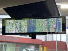 �ڥ���ƥꥸ����ȥ롼��ߥ顼�۸��ʤ��礭�ʲ�ʪ��Ʊ��ԤǸ�������ǧ���Ť餤���Ǥ�¿�������餬���Ƥ�����ξ�����α�����롼��ߥ顼���ɽ�������ꥢ�ʻ볦�Ǿ����γ�ǧ����ǽ�Ǥ��� 6