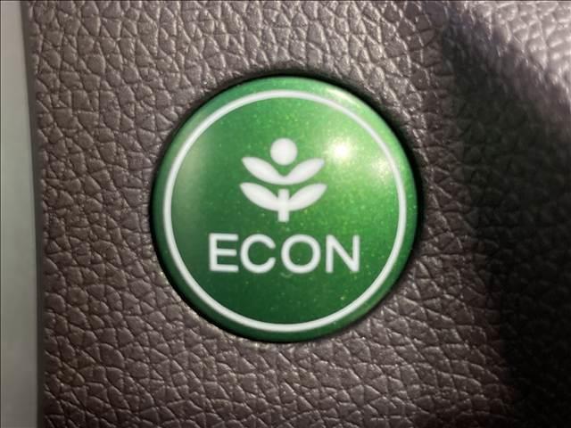 �S�Ԗ����̎ԁI�C�����Ȃ��I