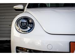 ӡȥ ǥ쥶ѥåϥǥե륻ʡ֡գءʥХå 0804975A30251030W001 6