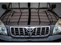 ���ɥ��롼�����ץ�� �ԣإ�ߥƥåɡ��ե�ե�åȡ������ϻ��͡��Ͷ�����쥹����ȥ꡼���� 0804975A30251113W002 5