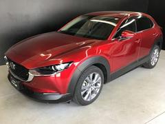 �ãءݣ��� ���������أġ��ġ���󥰡��ǥ������륿���ܡ��£�������������³ 0804981A20260406Z002 7