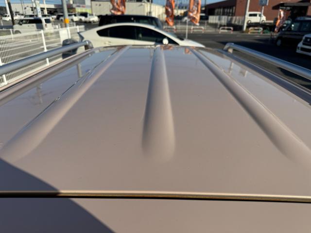 ミラココア ココアプラスX(46枚目)