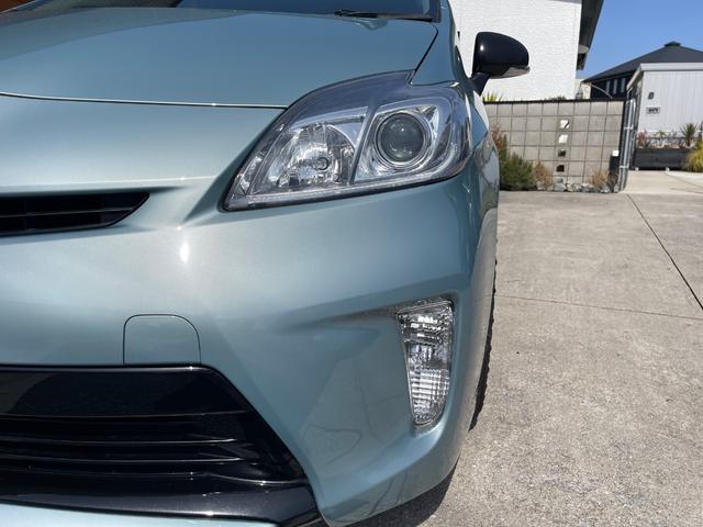 ���C�g���Y��ȏ�ԂŔ��ɖ��邭�S�����Ƃ炵�Ă����̂ŁA���V����Ԃ̑��s�������S���Ă���肢�������܂��B