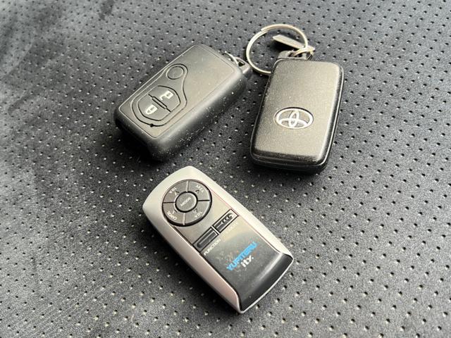 �X�y�A�L�[�E���[�_�[�p�����R��