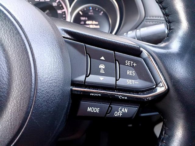 ＣＸ－５ ＸＤ　Ｌパッケージ　スマートブレーキＳ　ＢＯＳＥ　革シート　Ｐバックドア　ナビ　フルセグ／ＤＶＤ／ＢＴ　Ｂカメラ　ＢＳＭ　ＬＥＤライト　フォグ　両席シートヒーター　Ｐシート　メモリーシート　レーダークルーズ　ＥＴＣ（25枚目）