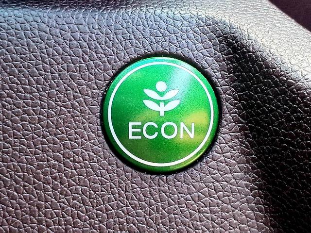 Ｎ－ＷＧＮカスタム Ｇ・Ａパッケージ　ＣＴＢＡ　ナビ　地デジ／ＤＶＤ／ＢＴ　Ｂカメラ　ＨＩＤライト　ハーフレザーシート　フォグ　クルコン　ステリモ　ドラレコ　ＥＴＣ　スマートキー　スペアキー　Ｐスタート　電格ミラー　Ｐガラス　Ａライト（28枚目）