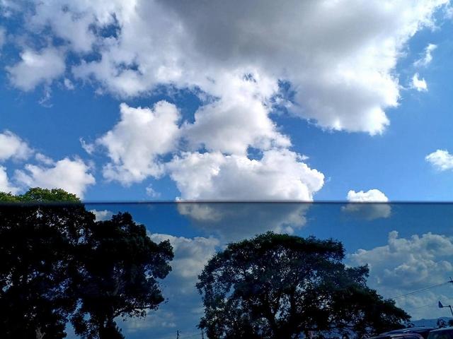 セレナ ハイウェイスター S-ハイブリッド 後期 エマブレ ナビ 地デジ/DVD/BT フリップダウン 両電スラ Bカメラ クルコン ETC スマートキー Pスタート Aライト フォグ ウィンカーミラー 電格ミラー 車線逸脱警報 横滑り防止機能(36枚目)