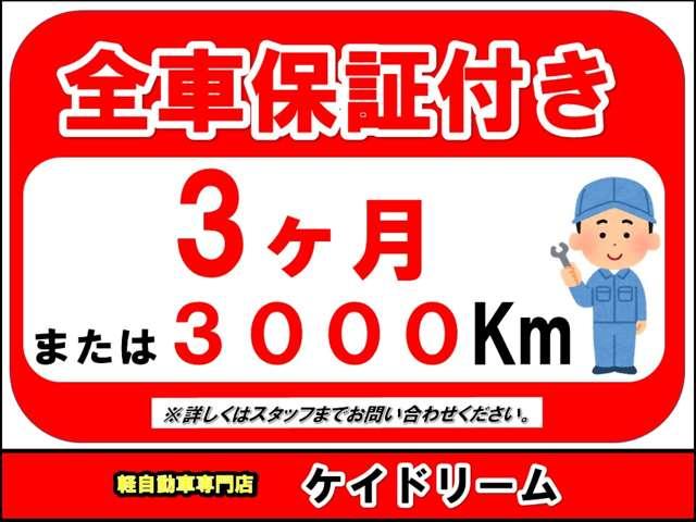 Ｓ６６０ α　ワンオーナー禁煙車バツクカメラＥＴＣプツシュスターターＬＥＤライトスマートキードラレコデイスプレーオーデイオＵＳＢ装備（46枚目）