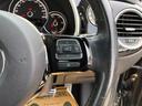 VOLKSWAGEN THE BEETLE
