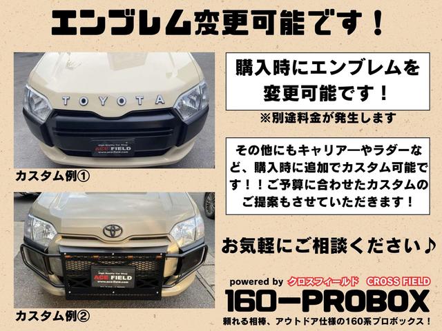 プロボックス DXコンフォート パッケージ サンドベージュ全塗装 リフトアップ 1年保証付き 距離無制限 新品タイヤホイール リフトアップ ルーフラック(3枚目)