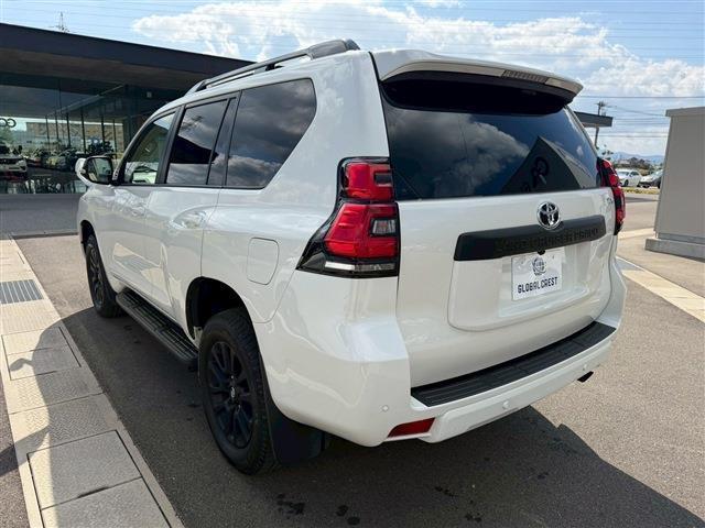 ランドクルーザープラド TX Lパッケージ マットブラックエディション(19枚目)