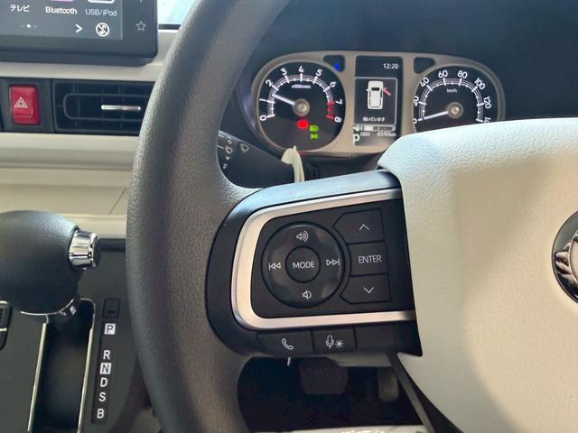 ムーヴキャンバス ストライプスＧ（18枚目）