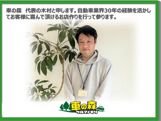 アルトラパンショコラ Ｘ　ナビＴＶ／ＣＤ／ＤＶＤブルートゥース／プッシュスタート／スマートキー×２個／アイドリングストップ／オートライト（37枚目）