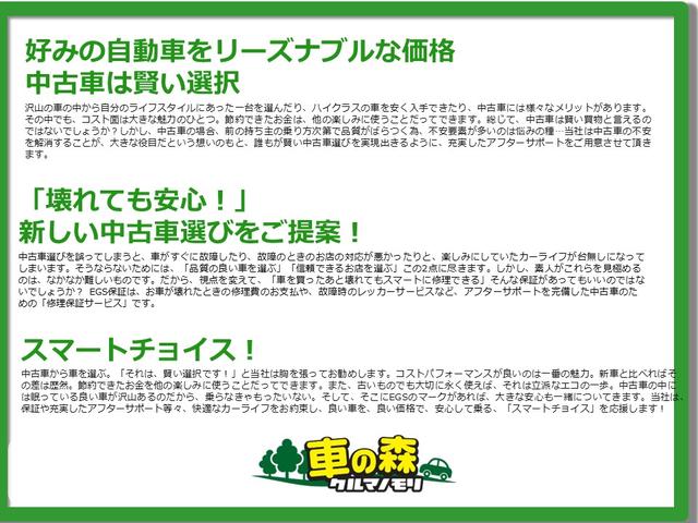 アルトラパンショコラ Ｘ　ナビＴＶ／ＣＤ／ＤＶＤブルートゥース／プッシュスタート／スマートキー×２個／アイドリングストップ／オートライト（53枚目）
