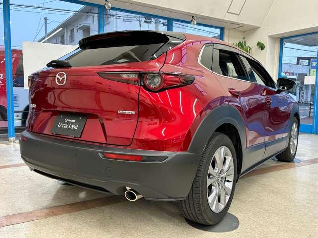 ＣＸ－３０ ２０Ｓ　ＴＳ　ＰＫＧ　３６０°ビューモニター　（3枚目）