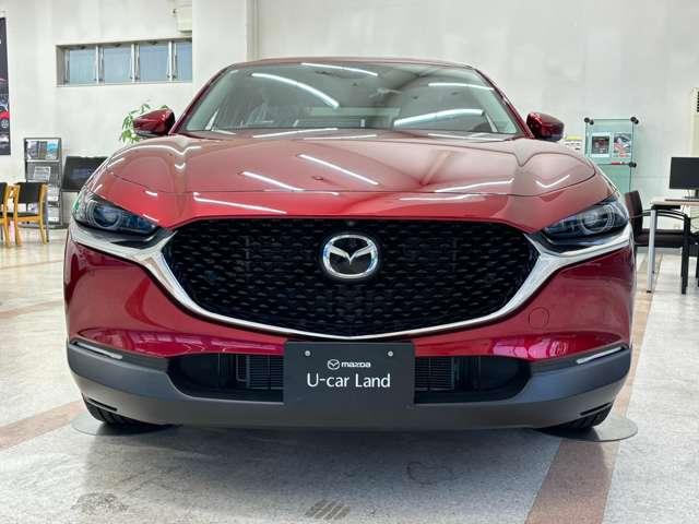 ＣＸ－３０ ２０Ｓ　ＴＳ　ＰＫＧ　３６０°ビューモニター　（4枚目）