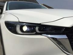 �̣ţĥإåɥ����������������Ϥ����ʤ����뤤�Τ�������Ԥ�¿����Ʊ�ž����ޤ��� 7