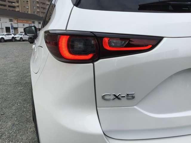 �����I�ȃ��C�g���ł��I