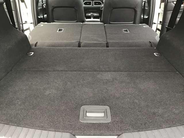 �����V�[�g��|���Ƒ傫�ȉו������ډ\�ł��B