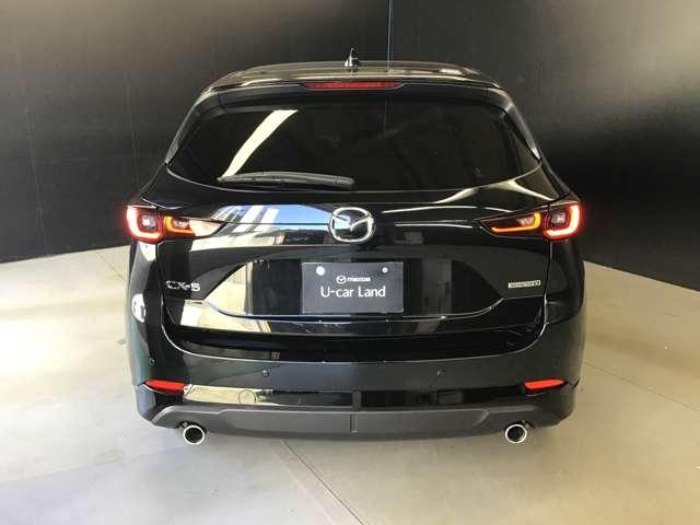 ���A�r���[�ł��B��납�猩�Ă��ڂ������܂��B