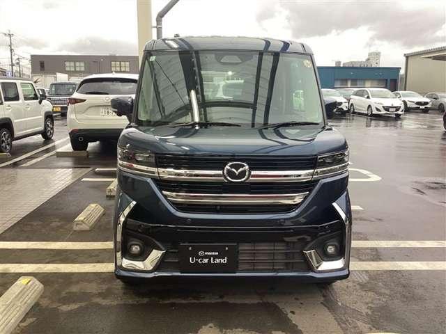 �X�^�C���b�V���ȃt�����g�}�X�N�I